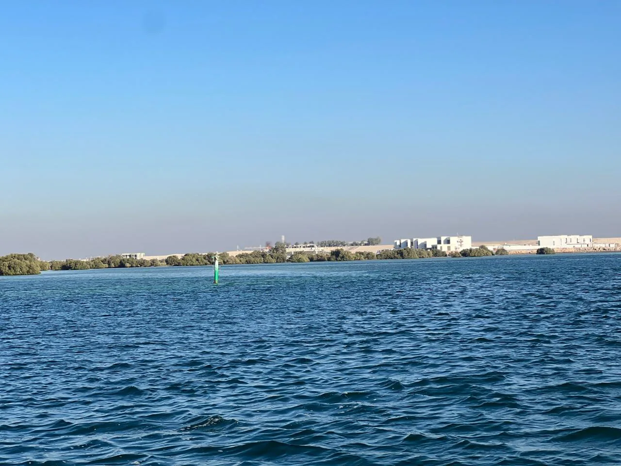 Al Jubail Island mangrove shoreline